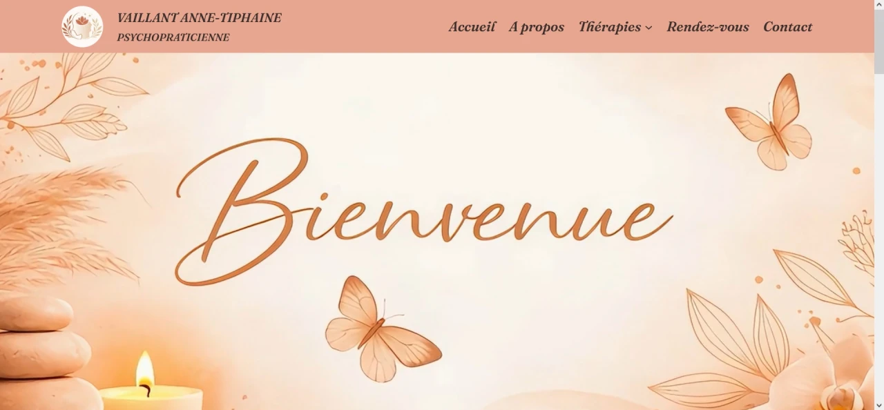 Image for Vaillant Anne-Tiphaine